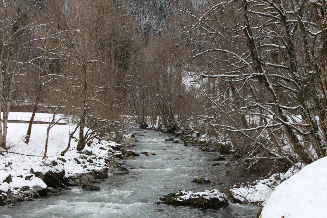 Chalet 8 Personnes + Grand Terrain Et Riviere Entremont Esterno foto